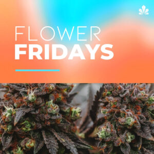 Flower Fridays Daily Specials. All flower is 20% off all friday.