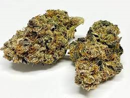 Cannabis Buds